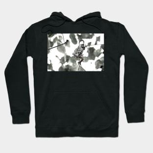 Chameleon black and white / Swiss Artwork Photography Hoodie